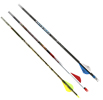 carbon-arrows-503pic1.jpg